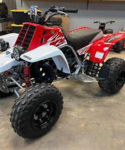 2009 YAMAHA BANSHEE