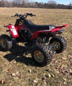 1999 yamaha banshee